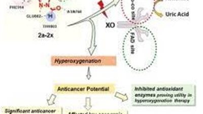 كل ما تريد معرفته عن استخدام دواء Xanthine oxidase inhibitors