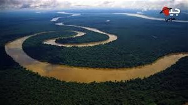 في اي قارة يقع نهر الامازون