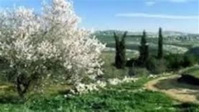 من اين يمتد وادي حوران