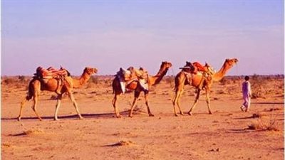 قرية قطر في العقبة