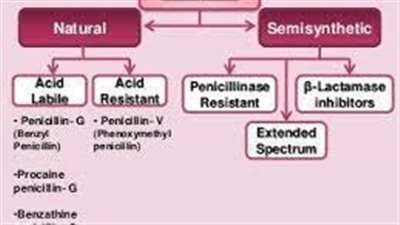 كل ما تريدد معرفته عن استخدام Cephalosporins 