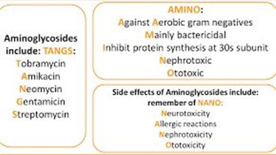 كل ما تريد معرفته عن استخدام Aminoglycosides 