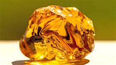 العنبر: رحلةٌ من أمعاء الحوت إلى عالم العطور