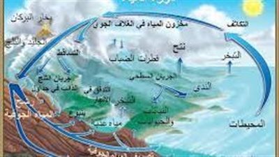 ما أهمية دورة الماء في الطبيعة