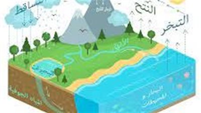 أهمية دورة الماء