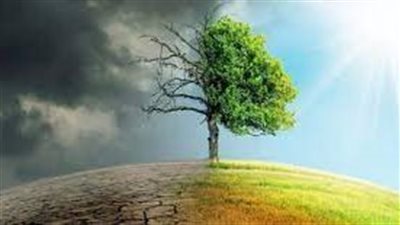 ما هي مظاهر التوازنات الطبيعية في النظام البيئي