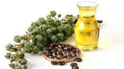 زيت الخروع: إكسيرٌ سحريٌّ يُنعش شعركِ ويُعيد إليه حيويته