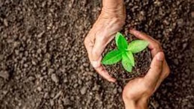 طرق الحفاظ على التربة