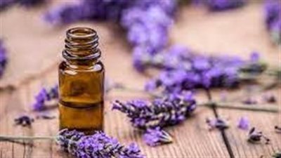 كيف تستفيدين من زيت اللافندر لشعرٍ صحيّ وجميل