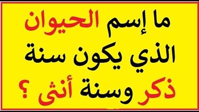 الغاز صعبة عامة