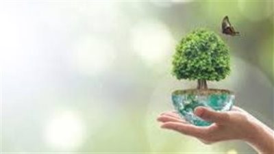 ما العلاقةُ بينَ حمايةِ البيئةِ وحقوقِ الإنسانِ