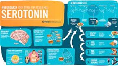 كل ما تريد معرفته عن استخدام serotonin 