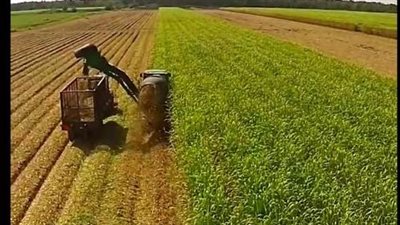 مقومات الزراعة في مصر