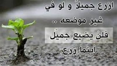 احكم مؤثرة جدا