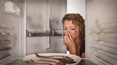 كيف نتخلص من رائحة السمك العالقة بالثلّاجة ؟
