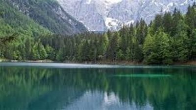 تواجه الطبيعة العديد من التحديات 