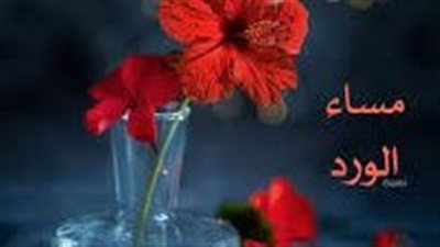 في رحلةِ المساءِ: خواطرُ تُعبّرُ عنْ مشاعرِنا