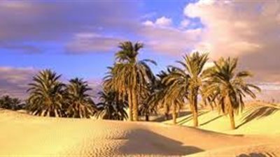 تعريف تعمير الصحراء