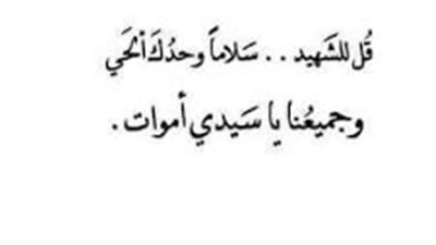 خواطر عن الشهداء: أنوارٌ من السّماءِ