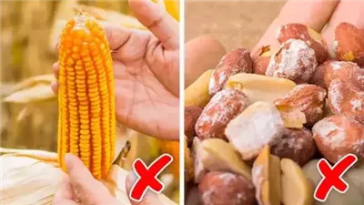 ماذا يحدث لجسمك إذا تناولت طعام به جزء متعفن ؟