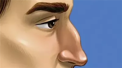  ملامح شخصيتك من شكل أنفك