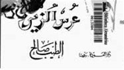 ملخص رواية عرس الزين