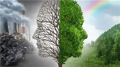 أجمل تعبير عن البيئة