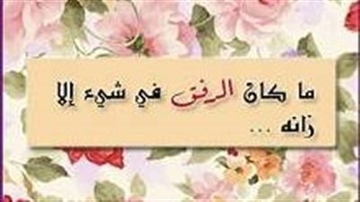 اجمل تعبير عن الرفق واللين 