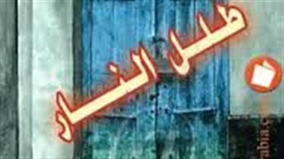 ملخص رواية طلل الڼار