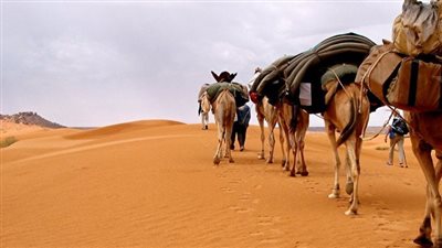كل ما تريد معرفتة عن ادب الرحلات