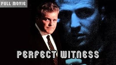 قصة فيلم Perfect Witness