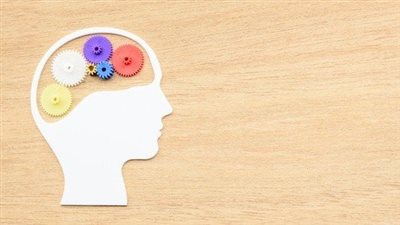 كل ما تريد معرفته عن نظريات المدرسة الوضعية
