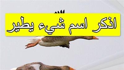 حل لغز اسم شيء يطير