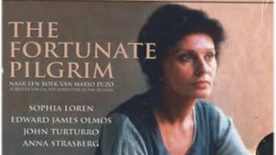 قصة مسلسل The Fortunate Pilgrim