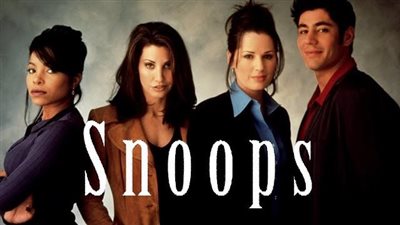 قصة مسلسل Snoops