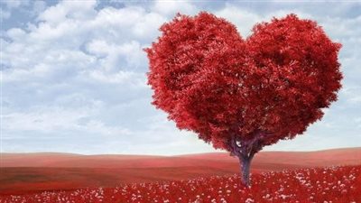 تعبير عن الحب والوفاء