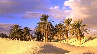  تعبير عن تعمير الصحراء