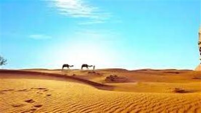 تعبير عن الواحات البحرية وطرق الزراعة بها