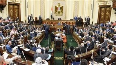 تعبير عن مجلس الشورى ومجلس الشيوخ