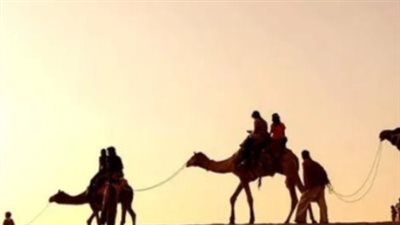 اصل عائلة السهلي 