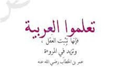أجمل الحكم عن اللغة العربيية