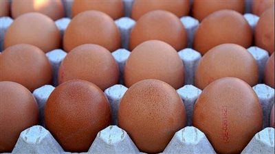 ما هو تفسير حلم رؤية البيض في المنام ؟