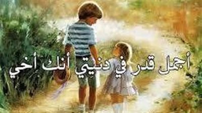 كلام رائع عن الأخ