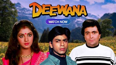 قصة الفيلم الهندي Deewana