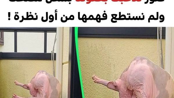 موقع أيام نيوز