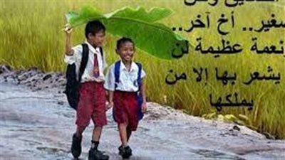 أجمل الحكم عن الأصدقاء