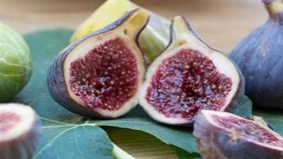 تفسير أكل التين في المنام لابن سيرين