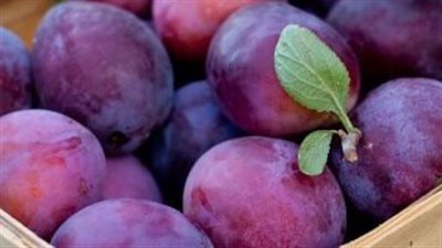 ما هي فوائد تناول ثمار البرقوق ؟