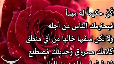 الحِكمة في التصرف