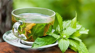 تفسير رؤية النعناع في المنام لابن سيرين